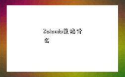 Zalando是指什么