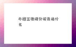 牛魔王數據分析是指什么