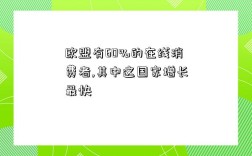 歐盟有60%的在線消費者,其中這國家增長最快