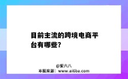 目前主流的跨境電商平臺有哪些？（目前主流的跨境電商平臺有哪些 各側重什么業務及優勢?）