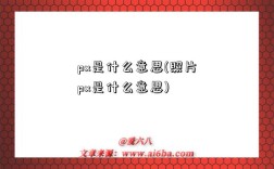 px是什么意思(照片px是什么意思)