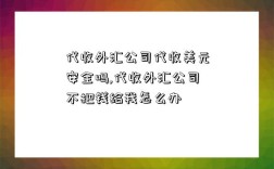 代收外匯公司代收美元安全嗎,代收外匯公司不把錢給我怎么辦