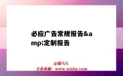 必應廣告常規報告&定制報告（必應廣告投放）