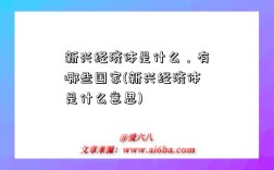 新興經濟體是什么，有哪些國家(新興經濟體是什么意思)