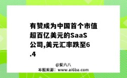 有贊成為中國首個市值超百億美元的SaaS公司,美元匯率跌至6.4