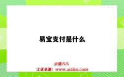 易寶支付是什么（易寶支付是什么平臺）