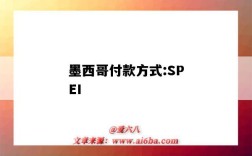 墨西哥付款方式:SPEI（墨西哥支付方式）