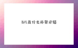 B/L是什么外貿術語