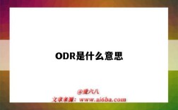 ODR是什么意思（亞馬遜odr是什么意思）