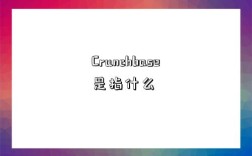 Crunchbase是指什么