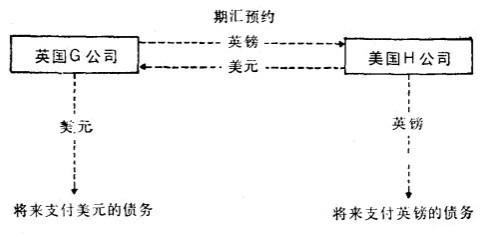 中長期期匯預約-圖1