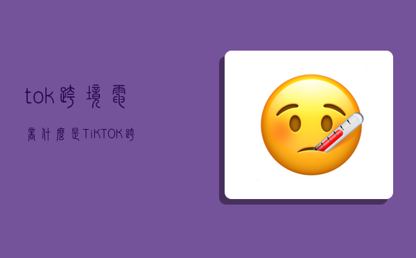 tok跨境電商,什么是TiKTOK跨境電商-圖1