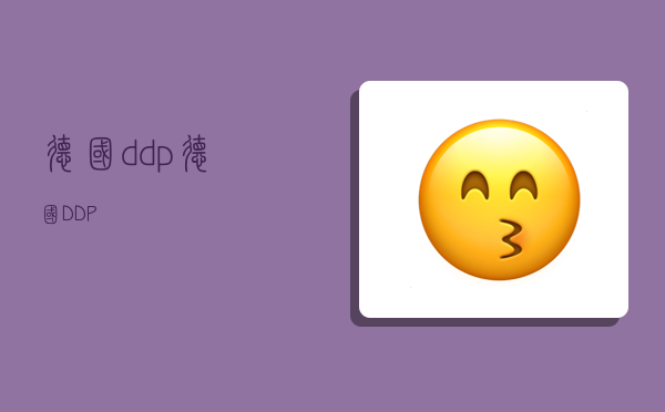 德國ddp,德國DDP-圖1