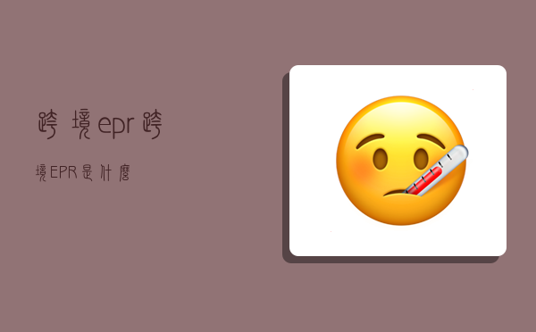 跨境epr,跨境EPR是什么-圖1