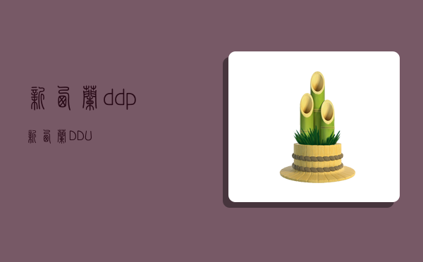 新西蘭ddp,新西蘭DDU-圖1