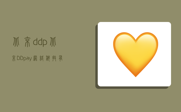 北京ddp,北京DDpay網絡科技有限公司-圖1