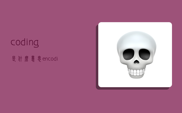 coding是什么意思,encoding是什么意思-圖1