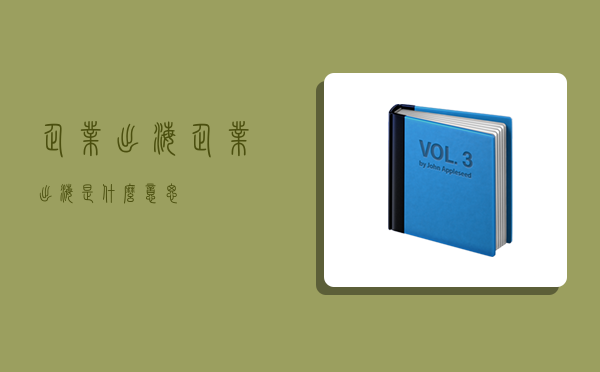 企業出海,企業出海是什么意思-圖1