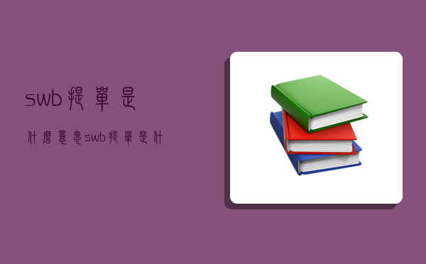 swb提單是什么意思,swb提單是什么意思需要出正本嗎-圖1