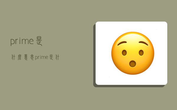 prime是什么意思,prime是什么意思數學-圖1