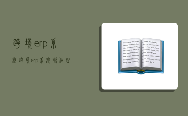 跨境erp系統,跨境erp系統哪個好-圖1