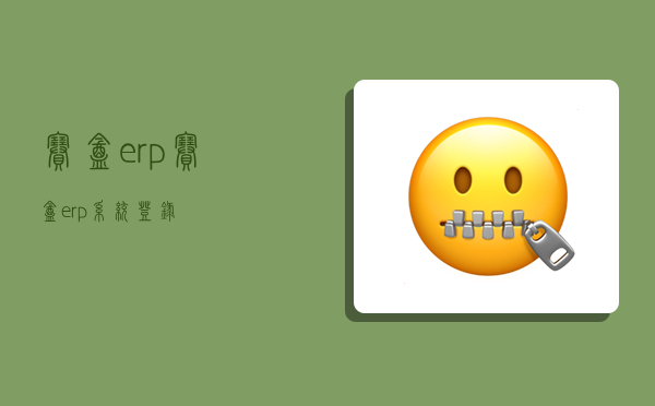 賽盒erp,賽盒erp系統登錄-圖1