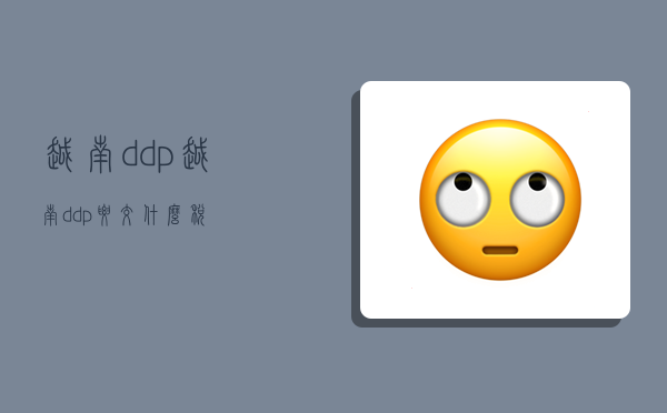 越南ddp,越南ddp要交什么稅-圖1