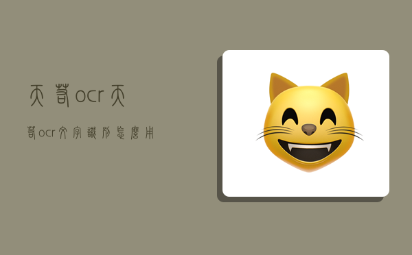 天若ocr,天若ocr文字識別怎么用-圖1