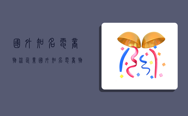 國外知名電商物流企業,國外知名電商物流企業資料-圖1