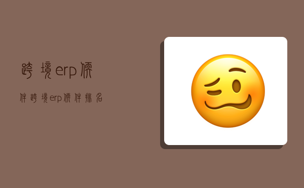 跨境erp軟件,跨境erp軟件排名-圖1