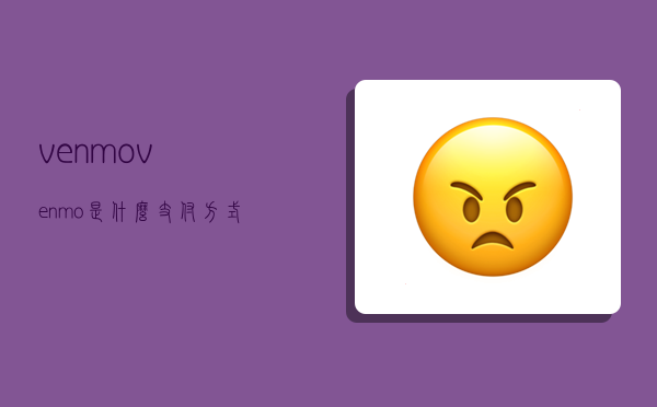 venmo,venmo是什么支付方式-圖1