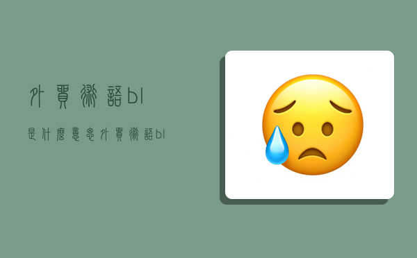 外貿術語bl是什么意思,外貿術語bl是什么意思啊-圖1