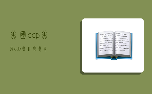 美國 ddp,美國ddp是什么意思-圖1