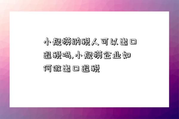 小規模納稅人可以出口退稅嗎,小規模企業如何做出口退稅-圖1