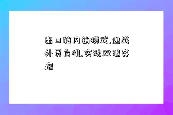 出口轉內銷模式,迎戰外貿危機,實現雙腿奔跑-圖1