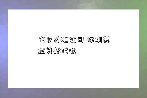 代收外匯公司,深圳美金貨款代收-圖1