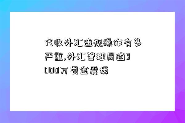 代收外匯違規操作有多嚴重,外匯管理局逾8000萬罰金震懾-圖1