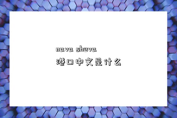 nava sheva港口中文是什么-圖1