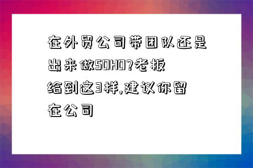 在外貿公司帶團隊還是出來做SOHO?老板給到這3樣,建議你留在公司-圖1