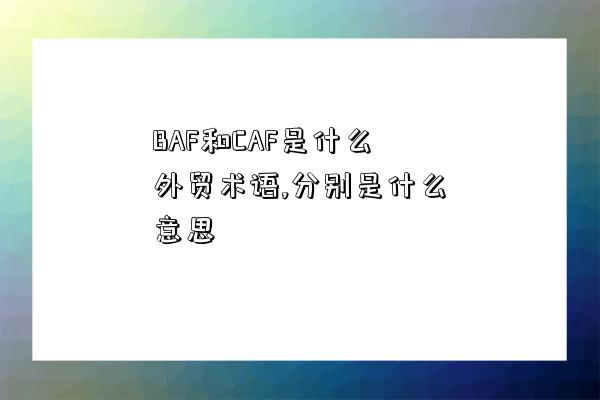 BAF和CAF是什么外貿術語,分別是什么意思-圖1