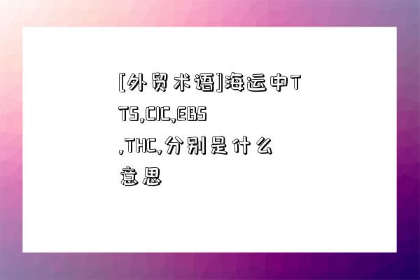 [外貿術語]海運中TTS,CIC,EBS,THC,分別是什么意思-圖1