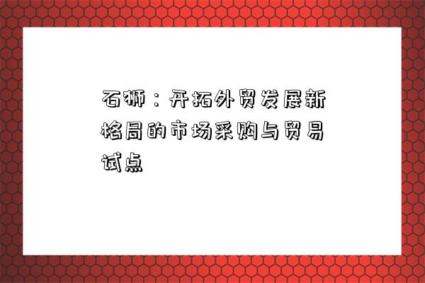 石獅：開拓外貿發展新格局的市場采購與貿易試點-圖1