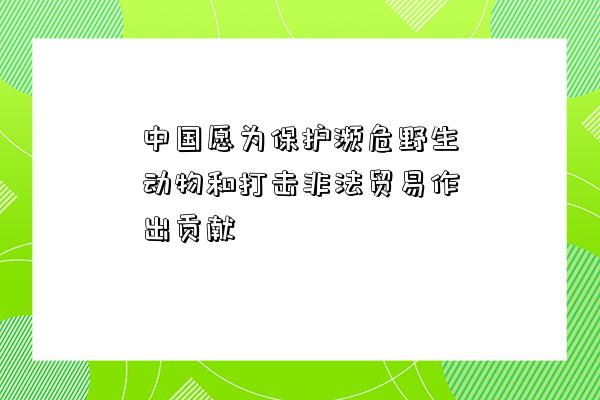 中國愿為保護瀕危野生動物和打擊非法貿易作出貢獻-圖1