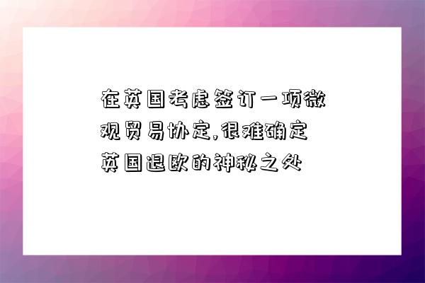 在英國考慮簽訂一項微觀貿易協定,很難確定英國退歐的神秘之處-圖1