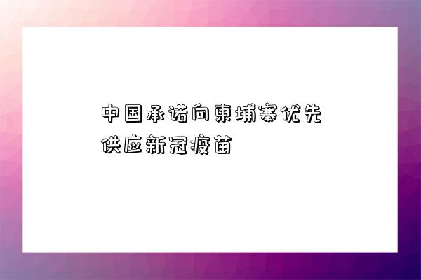 中國承諾向柬埔寨優先供應新冠疫苗-圖1