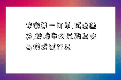 安徽第一訂單,試點通關,蚌埠市場采購與交易模式試行表-圖1