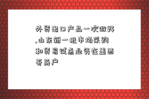 外貿出口產品一次做好,山東新一批市場采購和貿易試點業務在墨西哥落戶-圖1