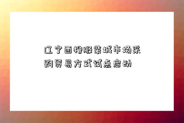 遼寧西柳服裝城市場采購貿易方式試點啟動-圖1