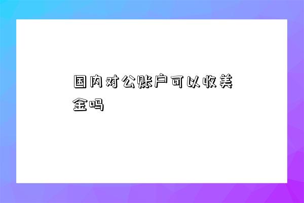 國內對公賬戶可以收美金嗎-圖1