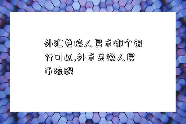 外匯兌換人民幣哪個銀行可以,外幣兌換人民幣流程-圖1